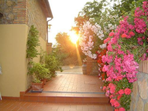 Agriturismo Colombaiolo Pienza Eksteriør billede