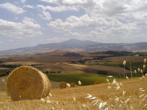 Agriturismo Colombaiolo Pienza Eksteriør billede