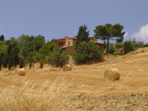 Agriturismo Colombaiolo Pienza Eksteriør billede