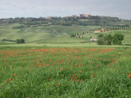 Agriturismo Colombaiolo Pienza Eksteriør billede