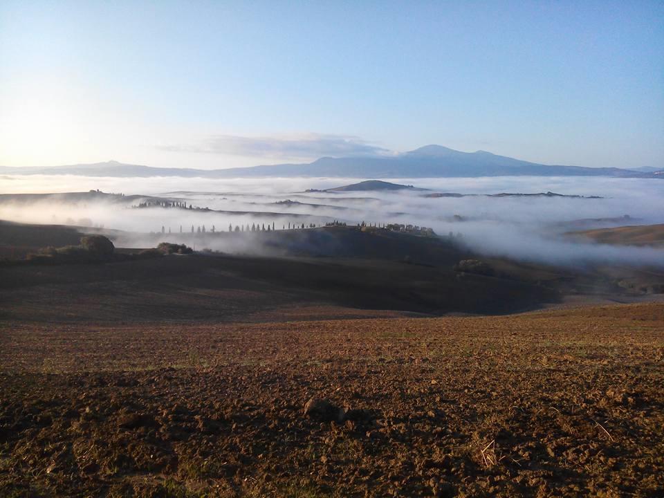 Agriturismo Colombaiolo Pienza Eksteriør billede