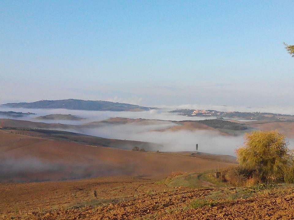Agriturismo Colombaiolo Pienza Eksteriør billede