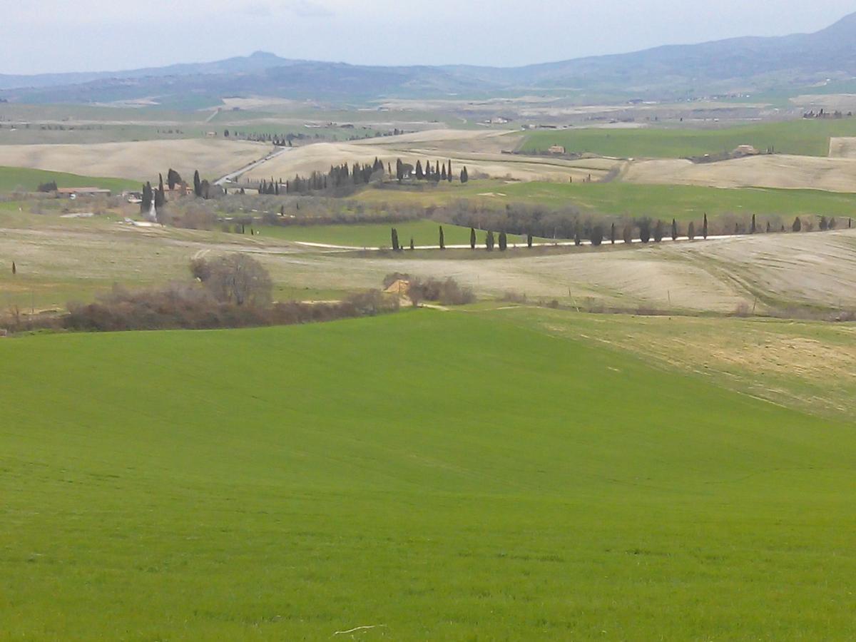 Agriturismo Colombaiolo Pienza Eksteriør billede